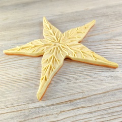 Молд пластиковый 