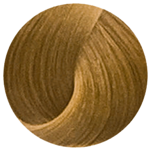 Goldwell Topchic 10NA (натуральный блондин) - Стойкая крем-краска
