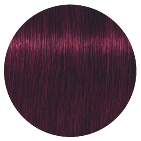 Schwarzkopf Igora Royal New 5-99 (Светлый коричневый фиолетовый экстра) - Краска для волос