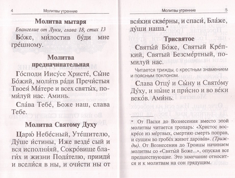 ТРИ КАНОНА: покаянный ко Господу нашему Иисусу Христу, ко Пресвятой Богородице и к Ангелу Хранителю