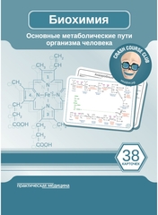 Биохимия. Основные метаболические пути организма человека. Карточки