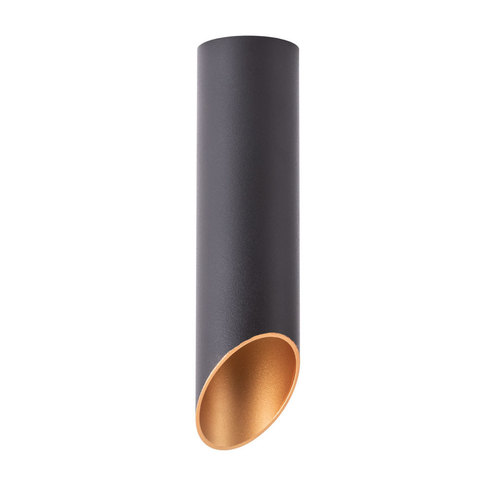 Светильник точечный Arte Lamp Pilon-gold A1535PL-1BK