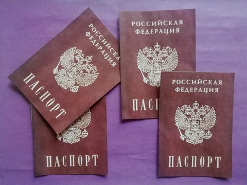 Вырезанные Вафельные Картинки для торта Паспорт (набор 4 шт, тонкая вафельная бумага)