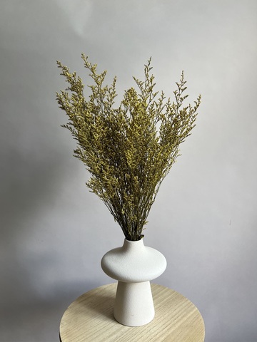 Кермек желтый