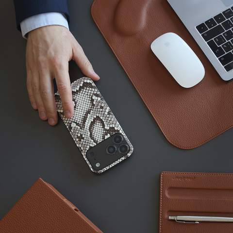 Чехол-накладка для iPhone 17 Pro из кожи питона, цвета натур