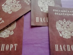 Вырезанные Вафельные Картинки для торта Паспорт (набор 4 шт, тонкая вафельная бумага)