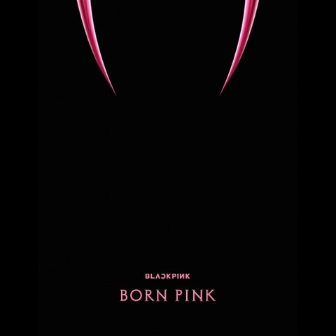 Виниловая пластинка. Blackpink - Born Pink (Black Ice Vinyl)