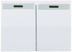 СВЕТОЗАР Эффект, без вставки и рамки, двухклавишный выключатель (SV-54435-W)