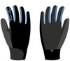 Перчатки Nordski Racing Black-Blue WS 18