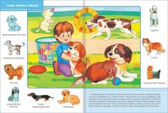 Школа Семи Гномов 