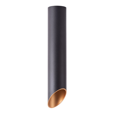Светильник точечный Arte Lamp Pilon-gold A1536PL-1BK