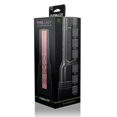 Мастурбатор-вагина Fleshlight - Pink Lady Destroya - 