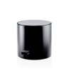 Decor Walther 0615460 Decor Walther All in Корзина для белья, напольная, цвет: черный матовый