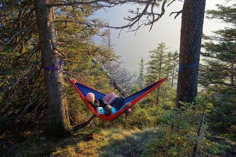 Картинка гамак туристический Ticket to the Moon original hammock Royal Blue/Orange - 11