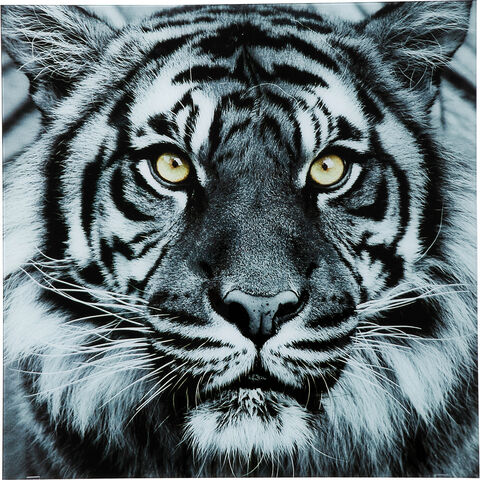 Картина Face Tiger, коллекция 