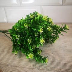 Зелень 7 веточек