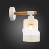 Светильник настенный Evoluce Abiritto SLE114501-01