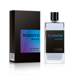 Dilis SCENTO Туалетная вода д/муж ACTUAL (736) 100мл