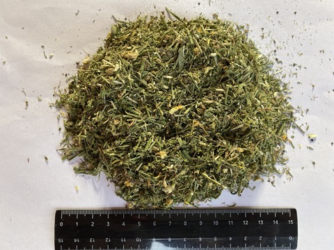 Запарка банная главбаня ромашка. Дымянка аптечная (fumaria officinalis). Прованские травы приправа. Искусственная трава greenland (grass komfort) 2м /50м2/. Травяная 1.