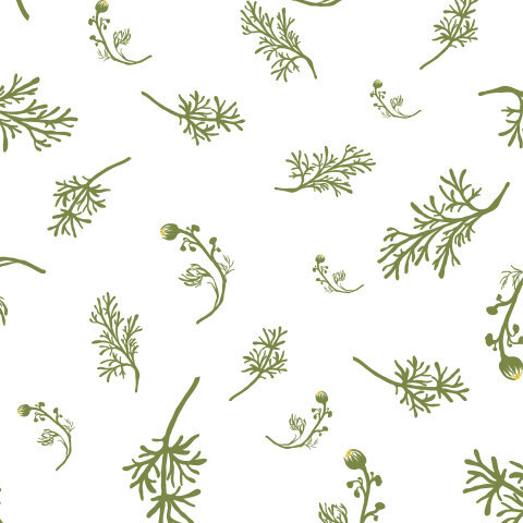 Мод Халат на молнии (Зеленый/белый/ромашка) — Инсар-Текстиль