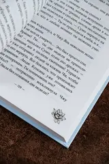 Баллада о нефритовой кости. Книга 2