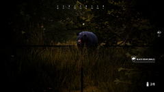 Hunting Simulator 2: Bear Hunter Pack (для ПК, цифровой код доступа)