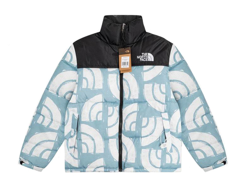 Пуховик The North Face 'Blue/White 