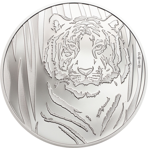 Монголия 2019, 250 тугриков, 0.5 унции, серебро. Притаившийся тигр