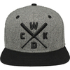 Кепка Wicked One Hostil Grey