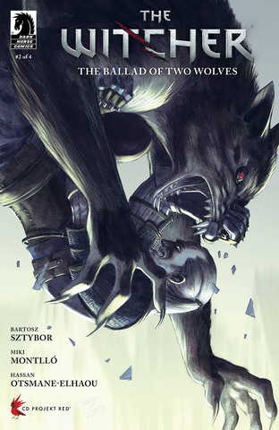 Witcher The Ballad Of Two Wolves #2 (Cover D)
