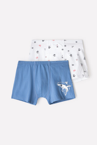 трусы/ уп  для мальчика  КБ 1912-2уп/белый,дымчато-синий,акулы