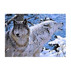 Холст с красками (Рыжий Кот) 30х40 см по номерам. Пышный букет пионов х-7888