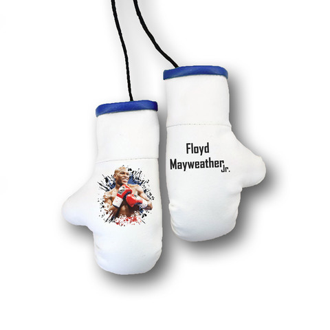Перчатки боксерские комбинированные "Флойд Майвейзер", белые с синим