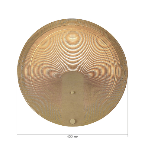 Светильник настенный ST Luce Fossil SL6900.501.16