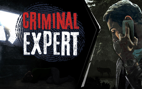 Criminal Expert (для ПК, цифровой код доступа)