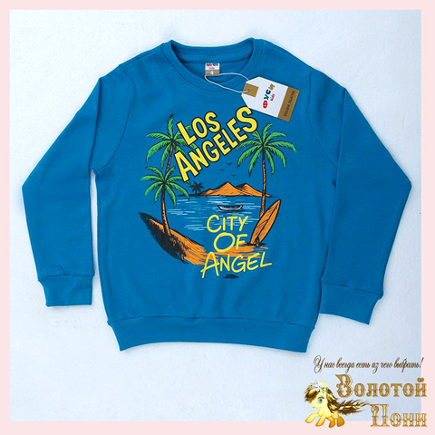 Свитшот хлопок м (1-4) 251031-FU104