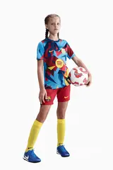 Футболка Nike FC Barcelona 25/26 Academy Pro Junior - многоцветный