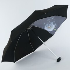 Карманный черный мини зонтик NEX с одуванчиком