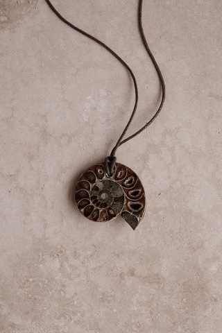 Чокер ammonite