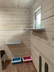 Котодача Картино: номер Премиум