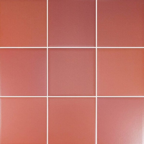 Wow Six Coral 11.7x11.7