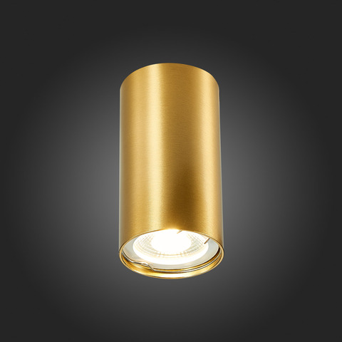 Светильник потолочный ST Luce ST110.207.01