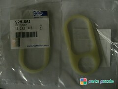 Кольцо уплотнительное под головку блока / RETAINER АРТ: 929-664