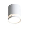 Светильник потолочный ST Luce Cerione ST101.542.12