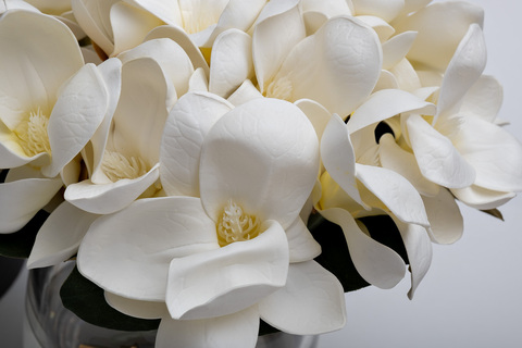 Букет магнолий ароматизированный и 2 спрея 10мл Cote Noire Magnolia white в вазе