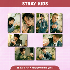 Сет карточек / STRAY KIDS #248