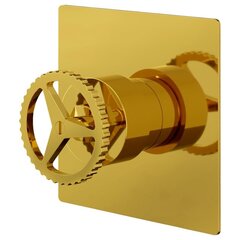 Remer Chrono CH30QDO Смеситель для душа, золото глянцевое фото