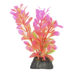 Aqua Reef набор аквариумных растений Людвигия и Кабомба 16см 6 шт