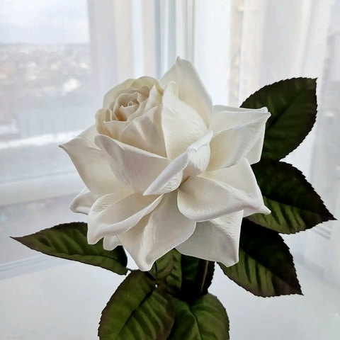 Молд пластиковый+Вайнер силиконовый лепесток розы 