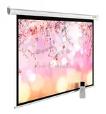 Экран Cactus 122" 220x220см MotoExpert CS-PSME-220x220-WT 1:1 настенно-потолочный рулонный белый (моторизованный привод)